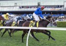 Beiwacht heads odds in quality Manikato Stakes field