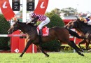 Rothfire ready to defy the odds again in Manikato Stakes