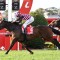 Rothfire ready to defy the odds again in Manikato Stakes
