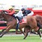 Esperanza primed for hometown Toowoomba Guineas return
