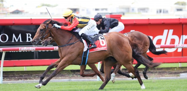 Esperanza primed for hometown Toowoomba Guineas return