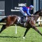 Zambardo chasing Cox Plate berth via Feehan Stakes