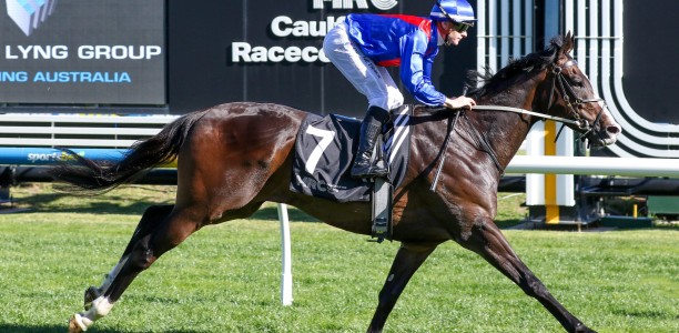 Zambardo chasing Cox Plate berth via Feehan Stakes