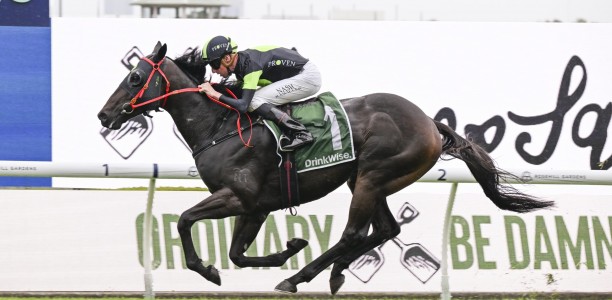 Pride bullish old timer has his Eye in
