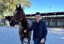 Bosun favourite to complete Westspeed Platinum clean sweep