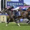 Lazzura too classy for rivals in Golden Pendant