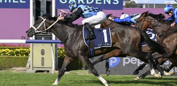 Lazzura too classy for rivals in Golden Pendant