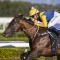 Warwoven earns $30 million price tag with Golden Rose win