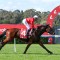 Buccleuch dominates Testa Rossa Stakes betting at Caulfield