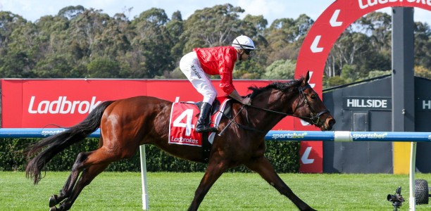 Buccleuch dominates Testa Rossa Stakes betting at Caulfield