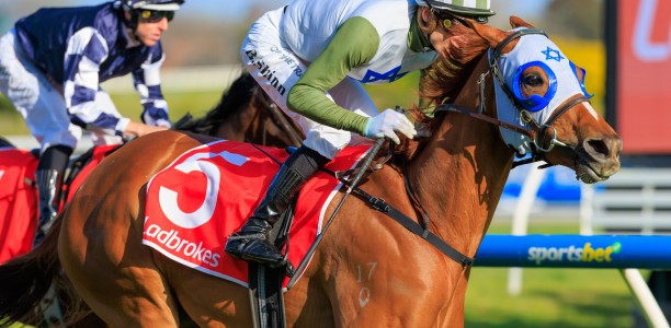 Lucy’s dream no Stock-standard win