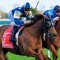 Jimmysstar bounces back in Manikato Stakes