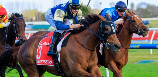Jimmysstar bounces back in Manikato Stakes