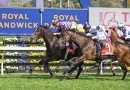 Group 1 star Rothfire retired