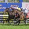 Group 1 star Rothfire retired