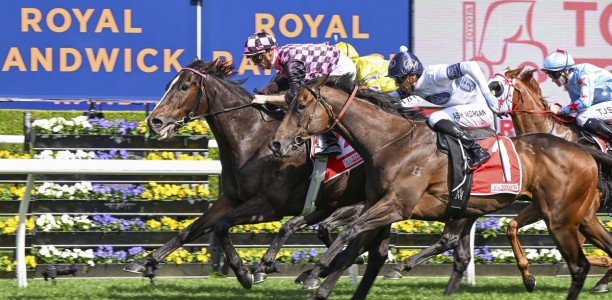Group 1 star Rothfire retired