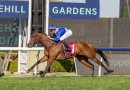 Blue Door secures The Everest slot after Heritage Stakes romp