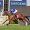 Blue Door secures The Everest slot after Heritage Stakes romp