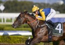 Warwoven earns elite rating for Golden Rose win