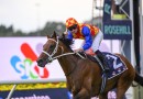Epsom Handicap draw favours favourites