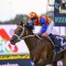 Epsom Handicap draw favours favourites