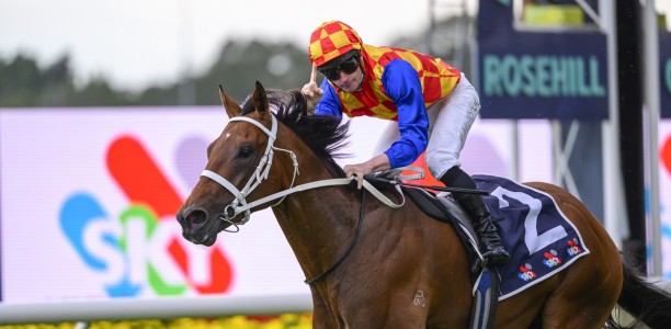 Epsom Handicap draw favours favourites