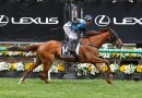 Melbourne Cup dream alive for 71 hopefuls