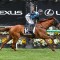 Melbourne Cup dream alive for 71 hopefuls