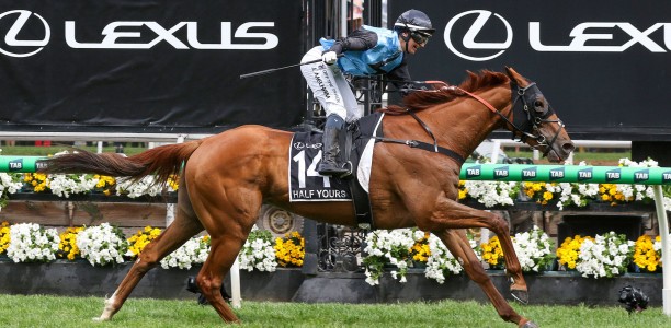 Melbourne Cup dream alive for 71 hopefuls