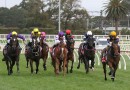 About Us – JustHorseRacing