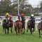 About Us – JustHorseRacing