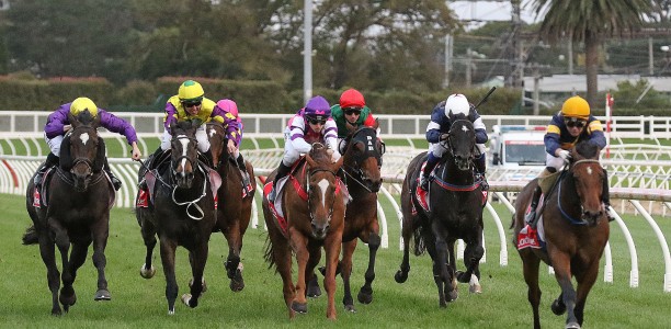 About Us – JustHorseRacing