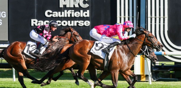 Rogers playing Roulette with Flemington weather