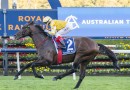 Sir Delius heads odds in open Turnbull Stakes field