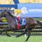 Sir Delius heads odds in open Turnbull Stakes field