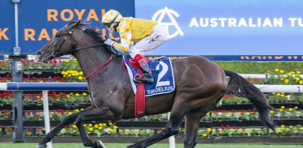 Sir Delius heads odds in open Turnbull Stakes field