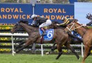 McEvoy confident Hottie can shine again in Flight Stakes