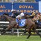 McEvoy confident Hottie can shine again in Flight Stakes
