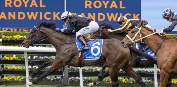 McEvoy confident Hottie can shine again in Flight Stakes