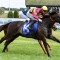 Wet or dry Hustler will be at Flemington