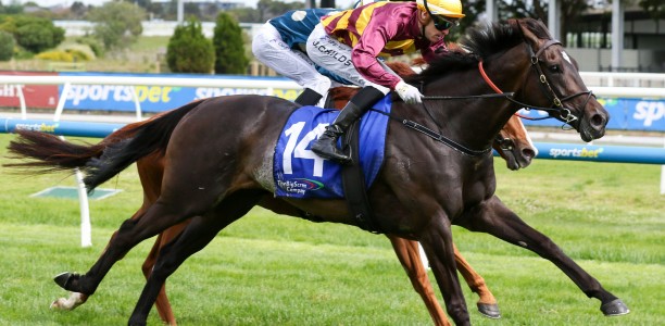 Wet or dry Hustler will be at Flemington