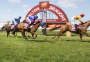 Murray Bridge Cup 2026 – Tips, Field, Horses, Odds & $100 Betting Preview