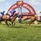 Murray Bridge Cup 2026 – Tips, Field, Horses, Odds & $100 Betting Preview