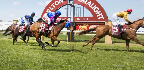 Murray Bridge Cup 2026 – Tips, Field, Horses, Odds & $100 Betting Preview