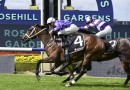Turnbull Stakes 2026 – Tips, Field, Horses, Odds & $100 Betting Preview