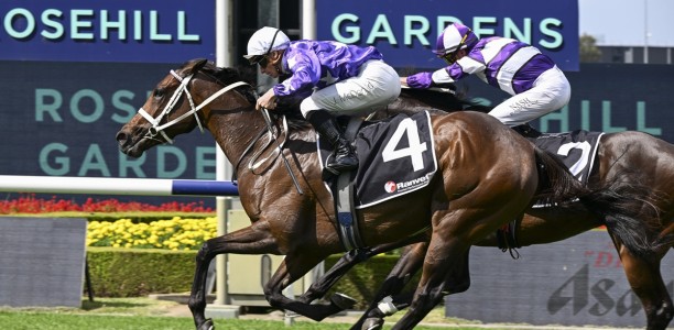 Turnbull Stakes 2026 – Tips, Field, Horses, Odds & $100 Betting Preview