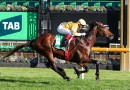 Sir Delius brings elite credentials into Turnbull Stakes defence