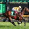 Sir Delius brings elite credentials into Turnbull Stakes defence