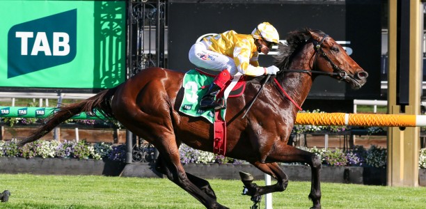 Sir Delius brings elite credentials into Turnbull Stakes defence