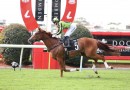 Gram puts winning streak on the line at Eagle Farm